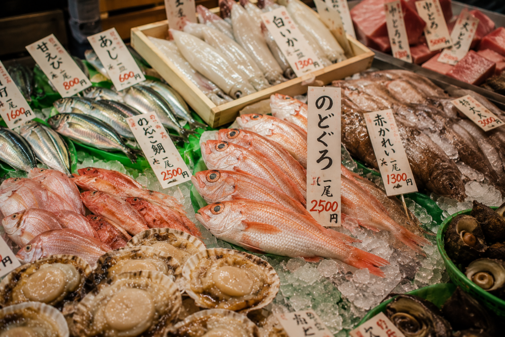 Nodoguro fish at Omicho Market Kanazawa